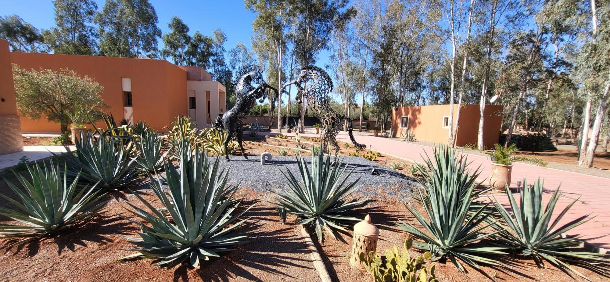 Le Jardin De Jeanne Villa Marrakesh Ngoại thất bức ảnh